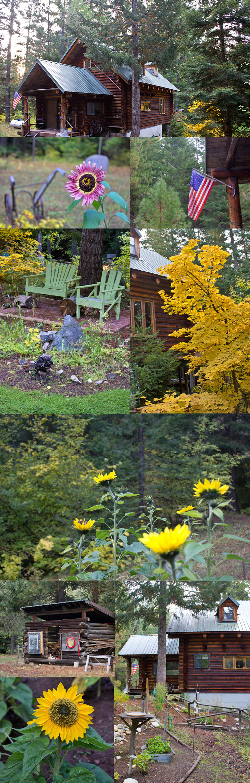 a morning walk around the Bennett Cabin 2011