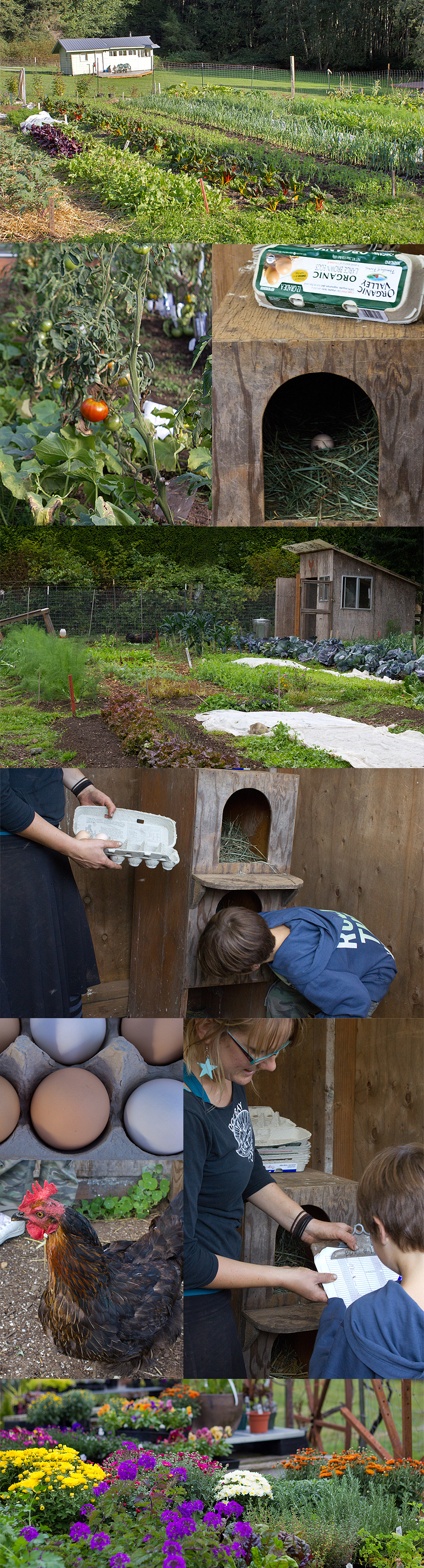 Doe Bay Garden, Orcas Island